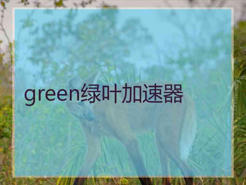 green绿叶加速器