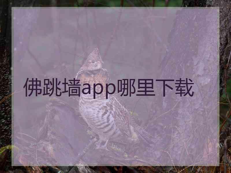 佛跳墙app哪里下载