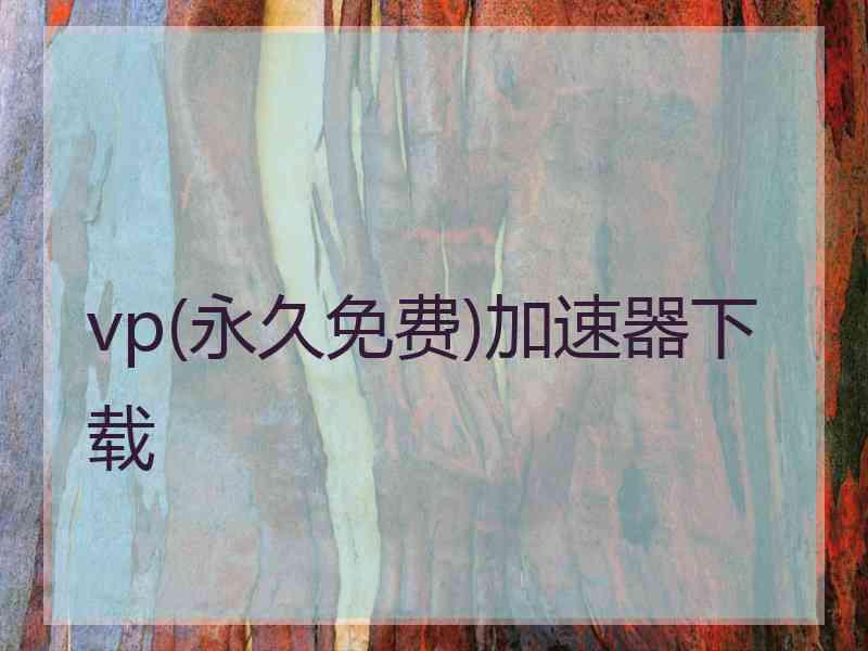 vp(永久免费)加速器下载