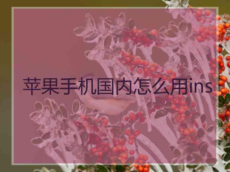 苹果手机国内怎么用ins