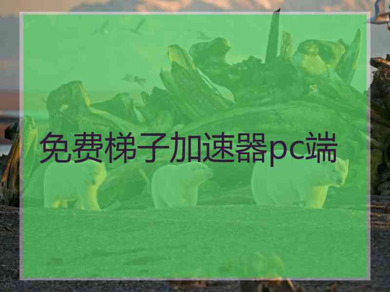 免费梯子加速器pc端