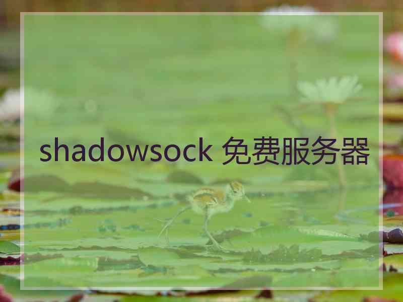 shadowsock 免费服务器