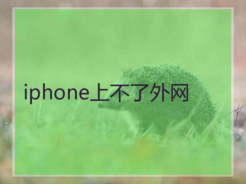 iphone上不了外网