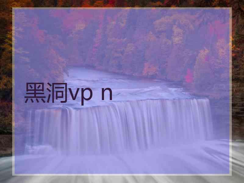 黑洞vp n