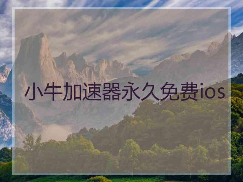 小牛加速器永久免费ios