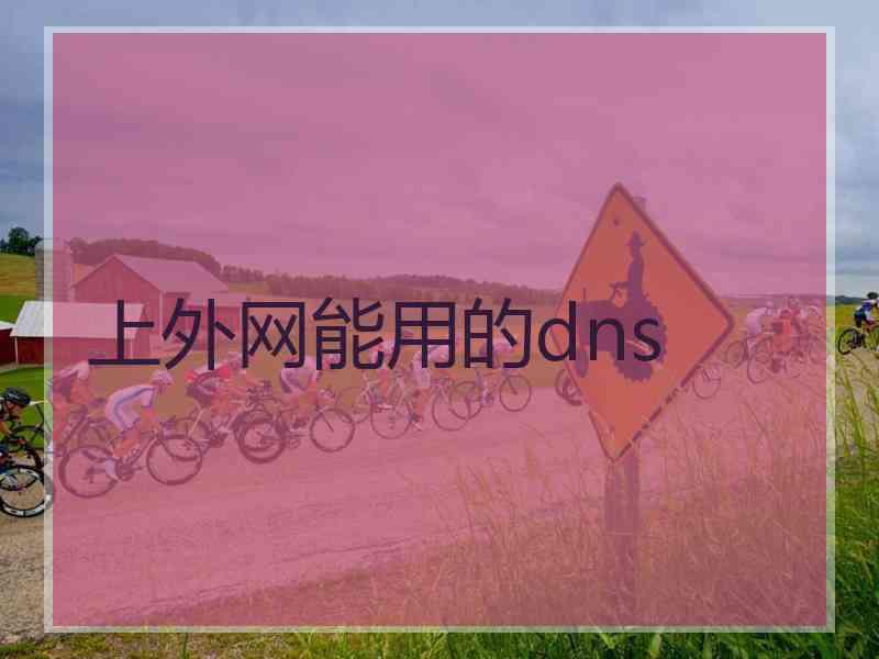 上外网能用的dns