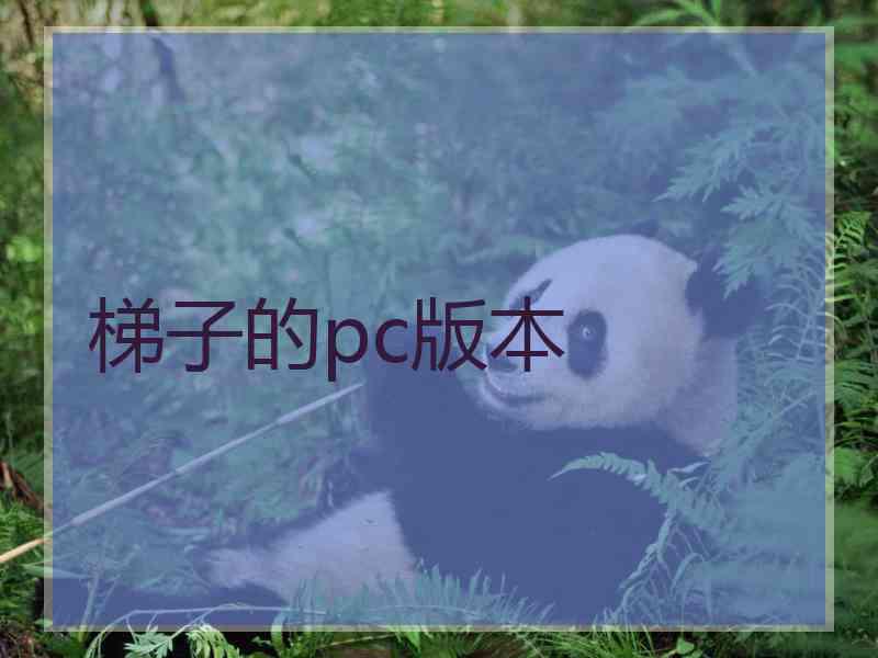 梯子的pc版本