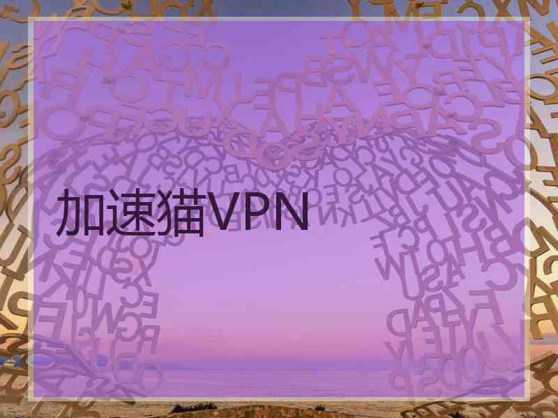 加速猫VPN