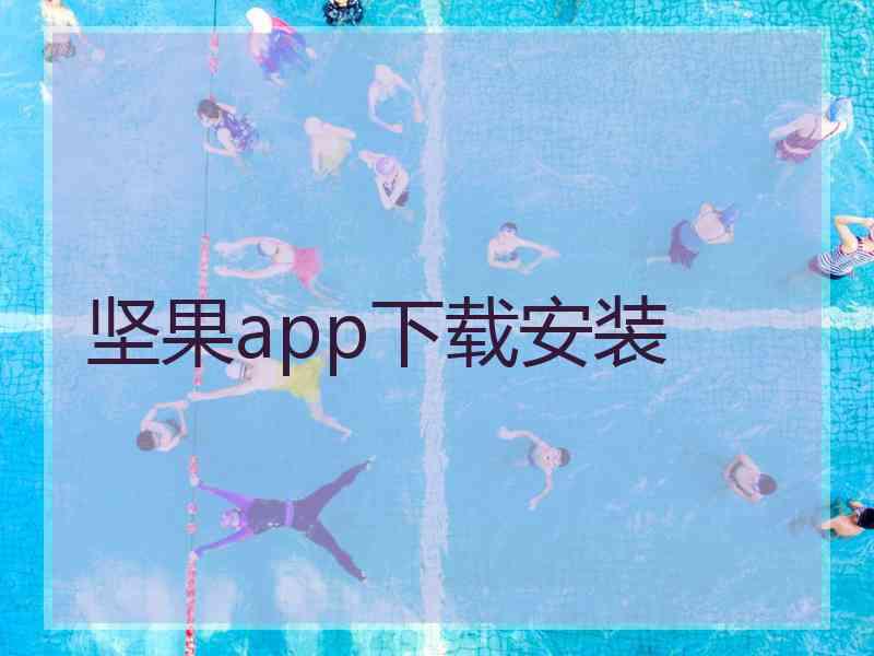 坚果app下载安装