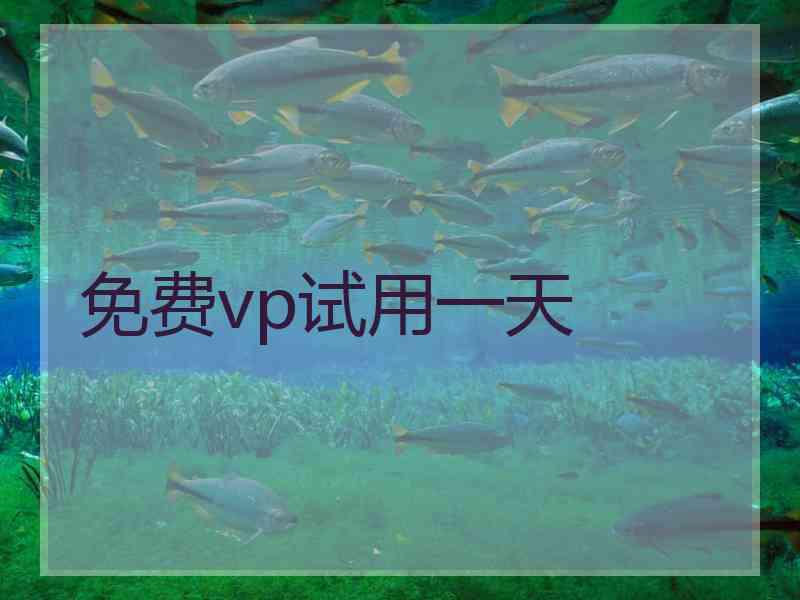 免费vp试用一天