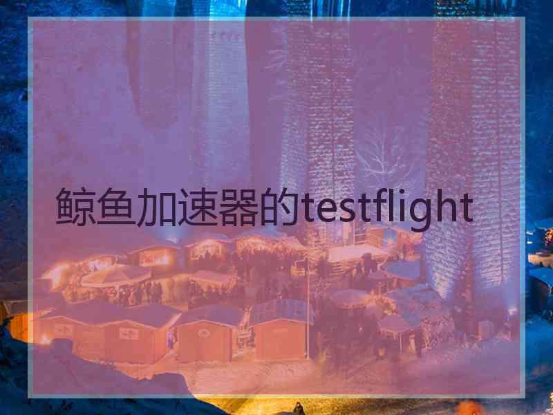 鲸鱼加速器的testflight