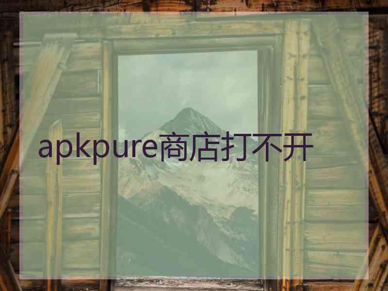 apkpure商店打不开