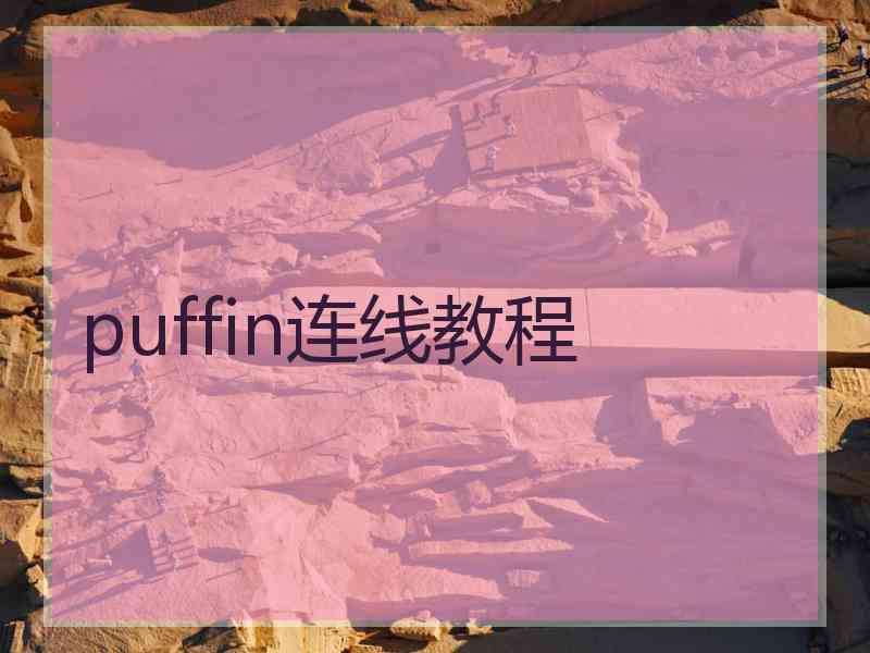 puffin连线教程