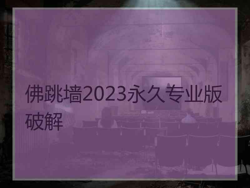 佛跳墙2023永久专业版破解