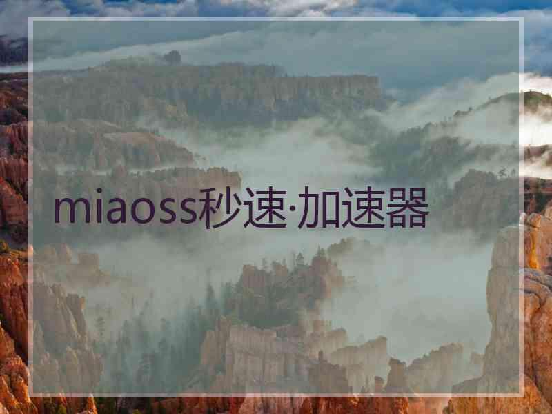 miaoss秒速·加速器