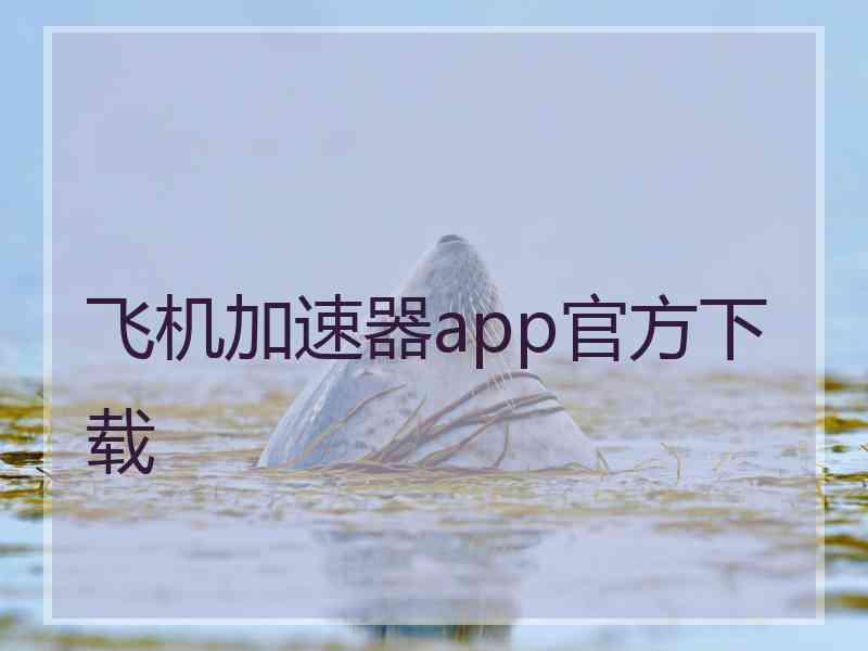 飞机加速器app官方下载