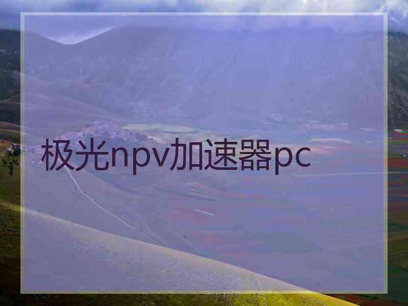 极光npv加速器pc