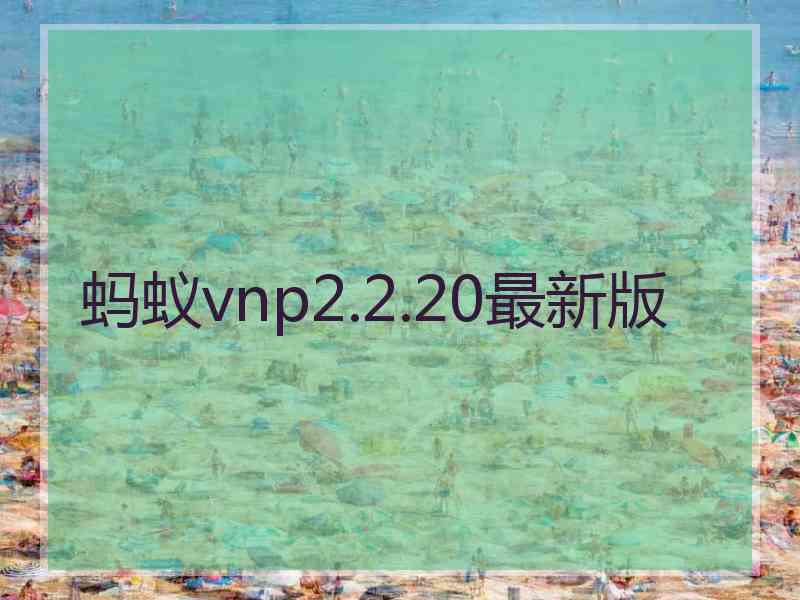 蚂蚁vnp2.2.20最新版