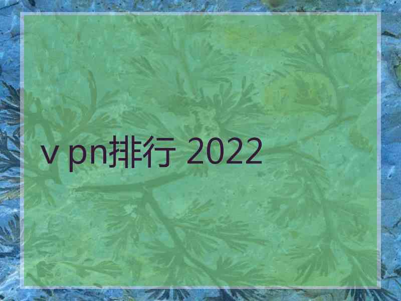 ⅴpn排行 2022