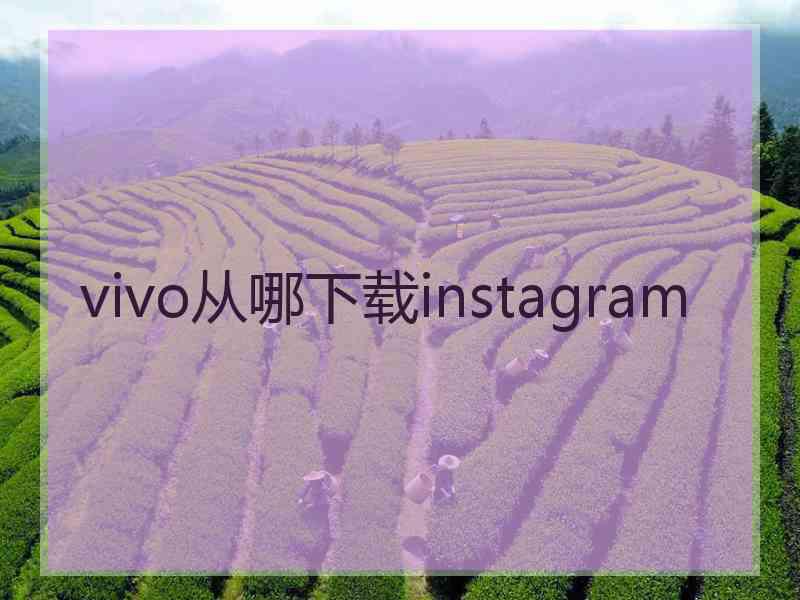 vivo从哪下载instagram