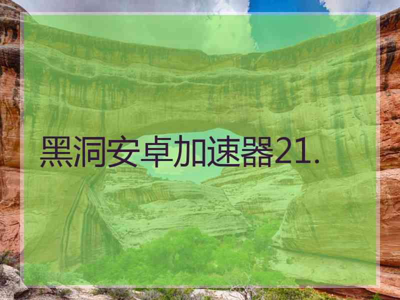 黑洞安卓加速器21.