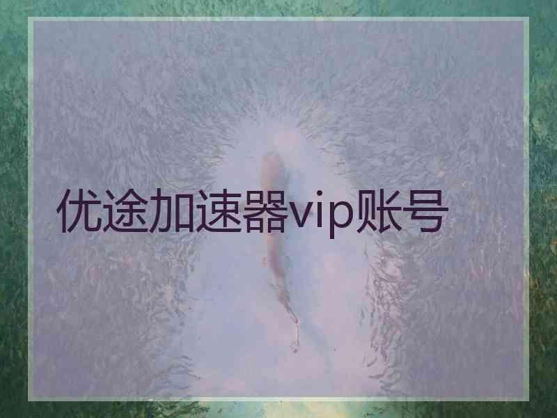 优途加速器vip账号