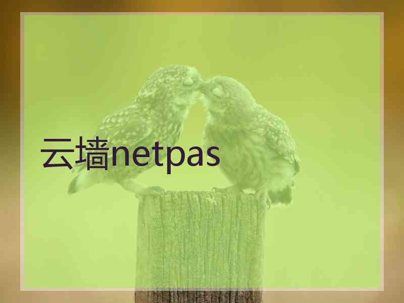 云墙netpas