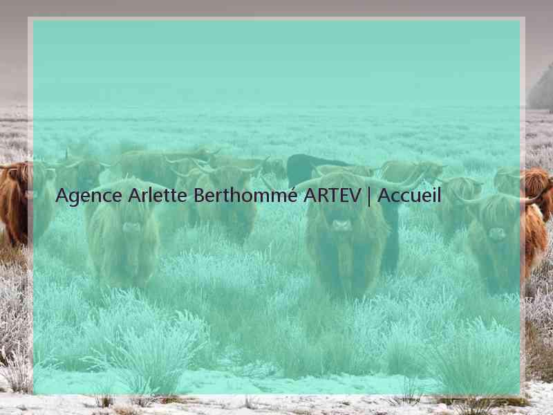 Agence Arlette Berthommé ARTEV | Accueil