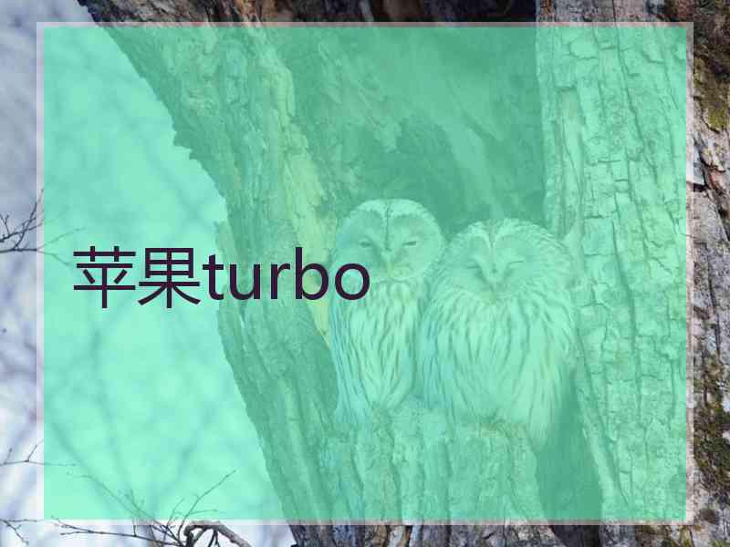 苹果turbo