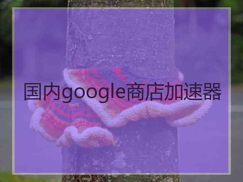 国内google商店加速器