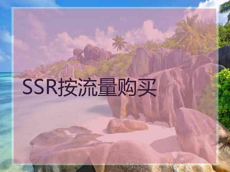 SSR按流量购买