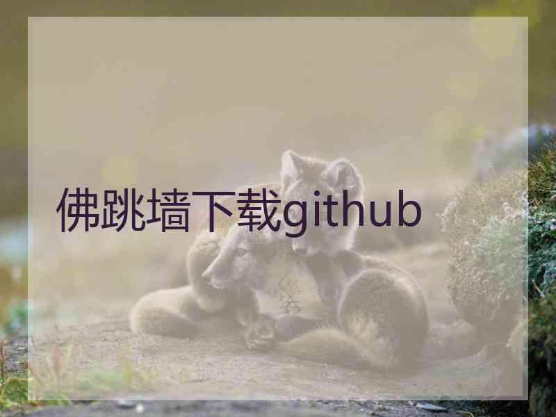 佛跳墙下载github