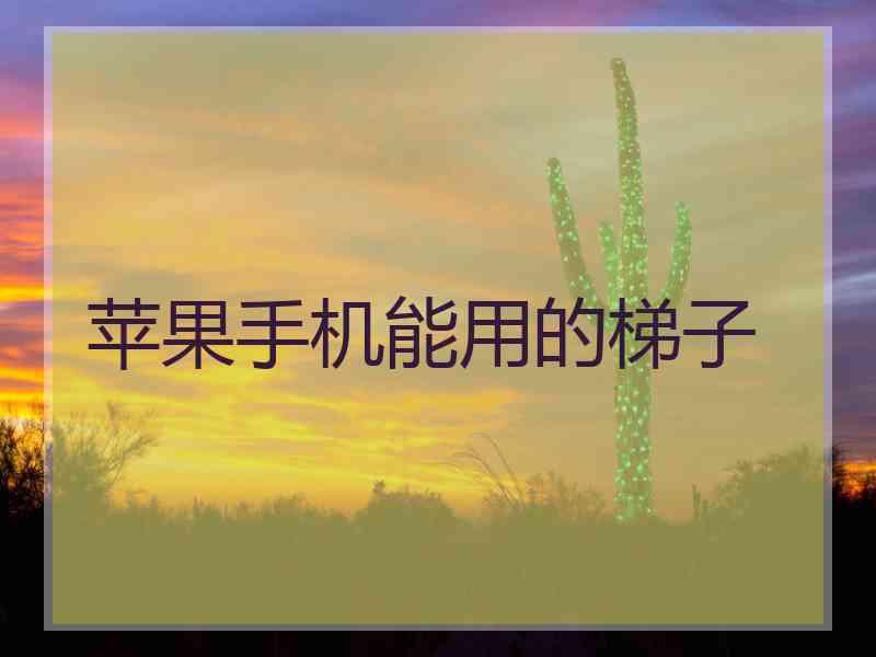 苹果手机能用的梯子