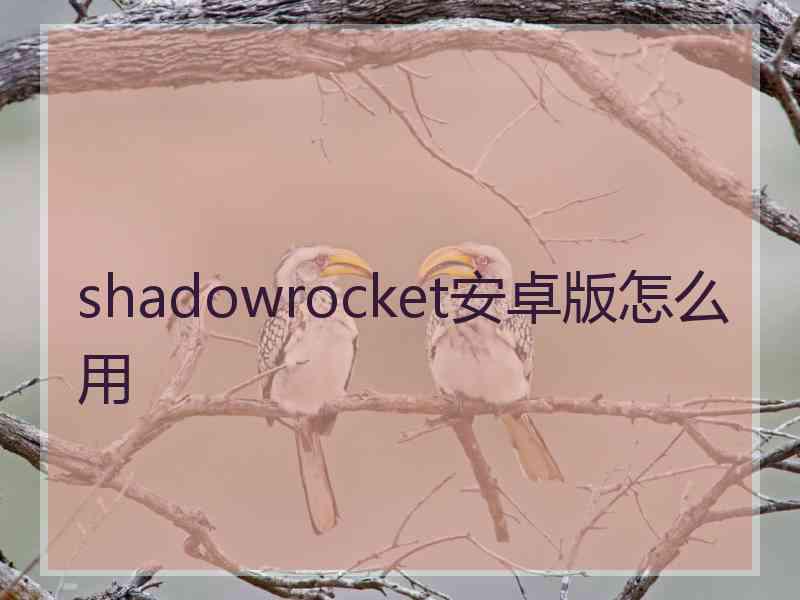 shadowrocket安卓版怎么用