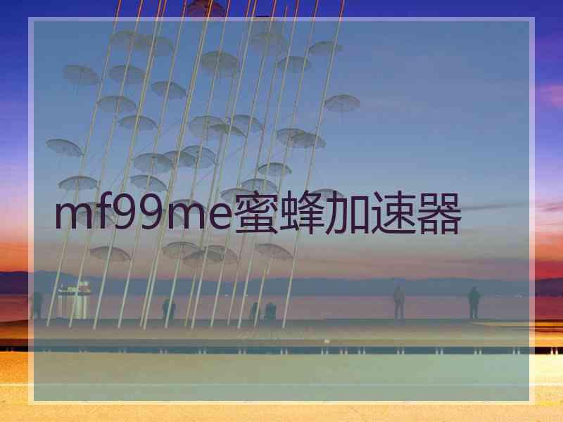 mf99me蜜蜂加速器