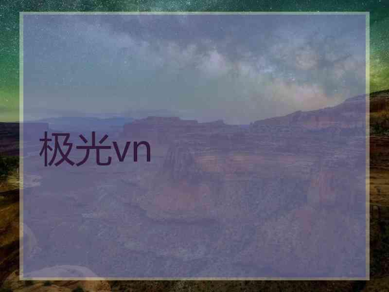 极光vn