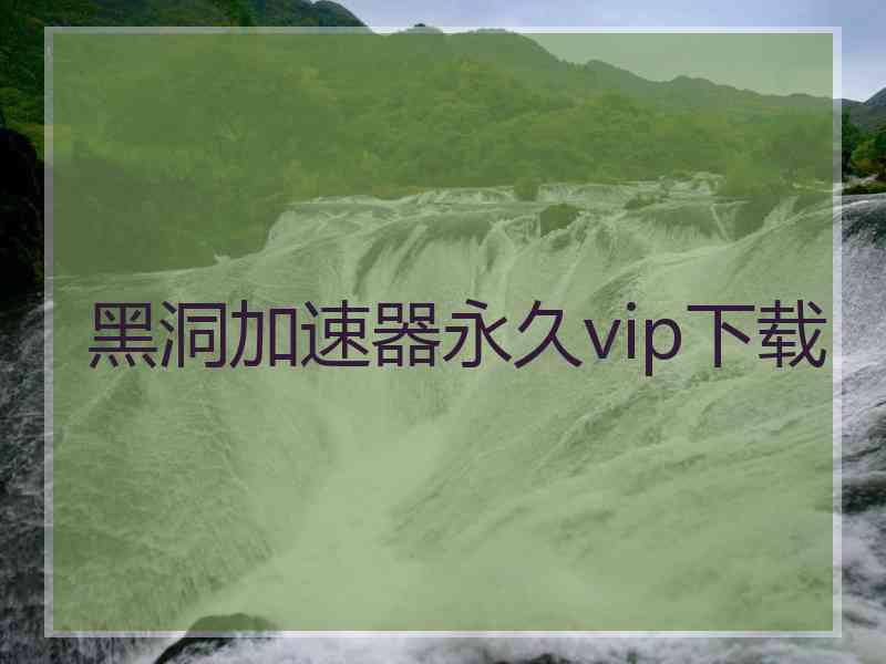 黑洞加速器永久vip下载