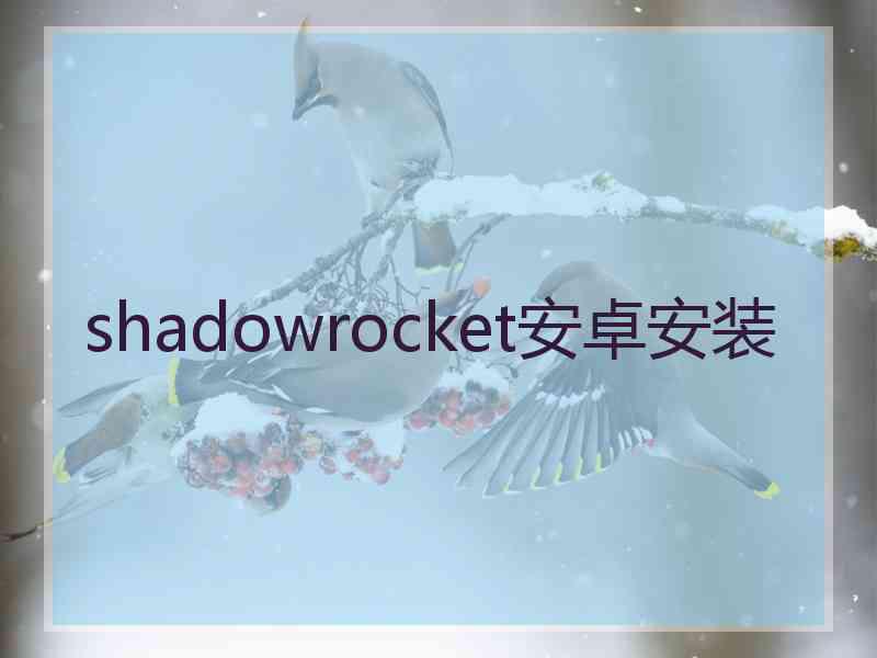 shadowrocket安卓安装