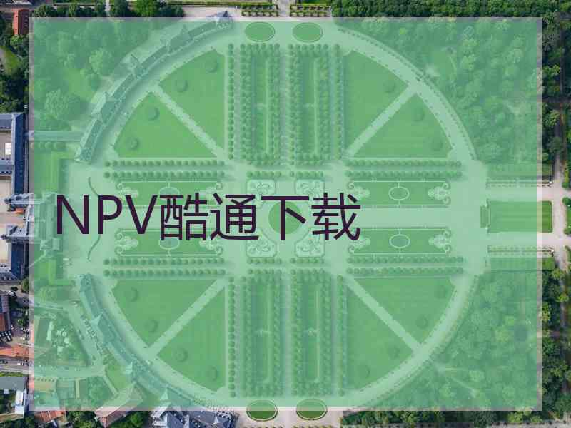 NPV酷通下载