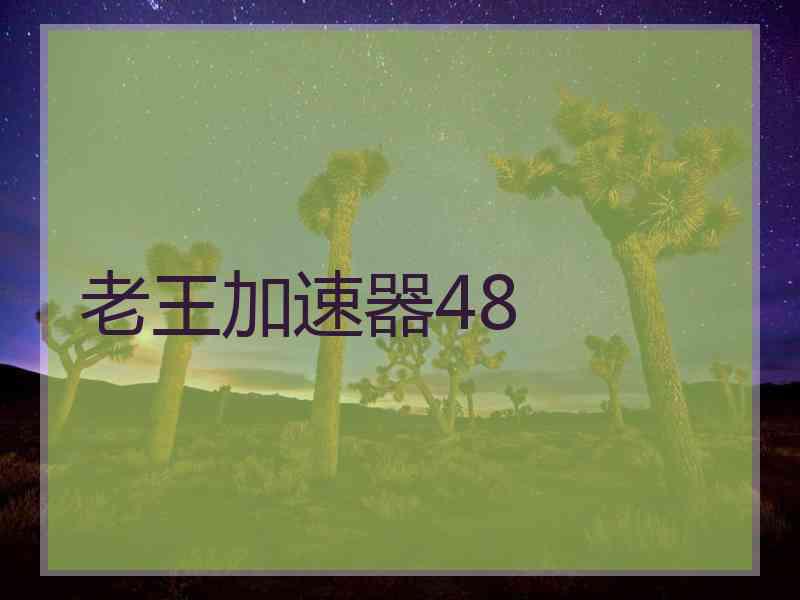 老王加速器48