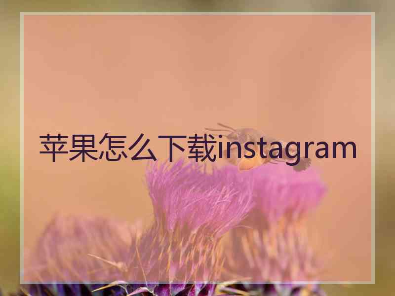 苹果怎么下载instagram