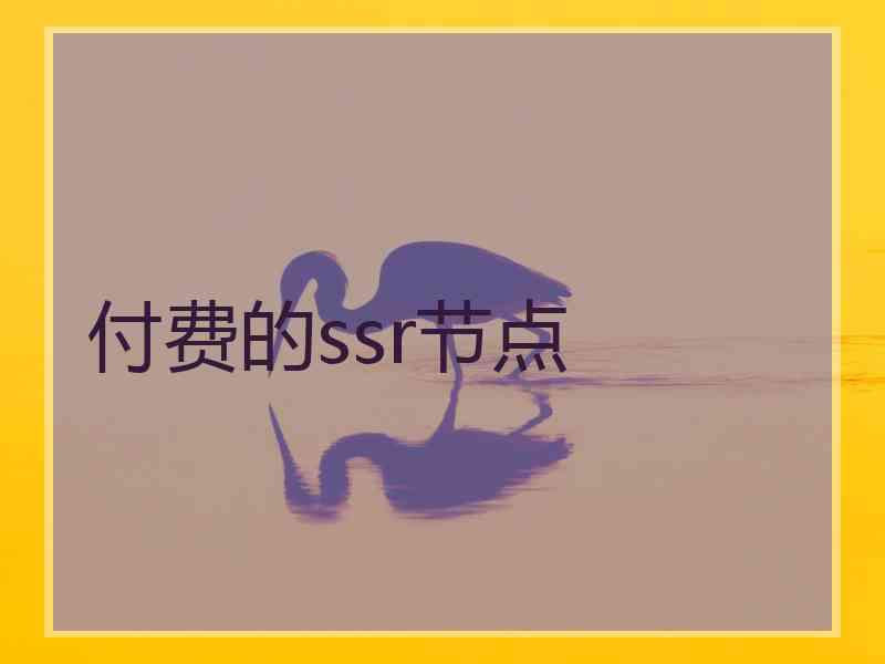 付费的ssr节点