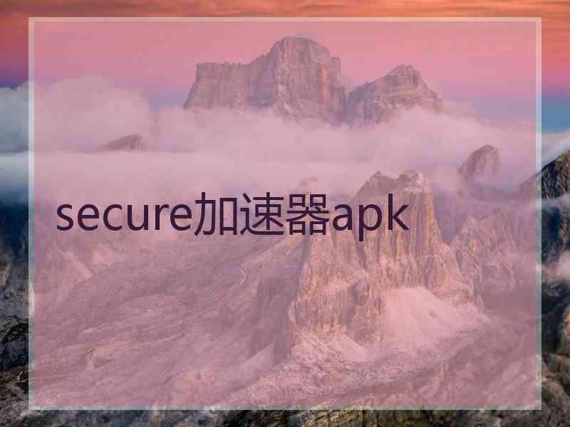 secure加速器apk