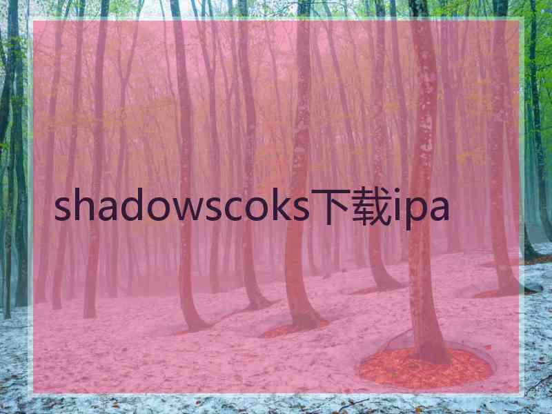 shadowscoks下载ipa