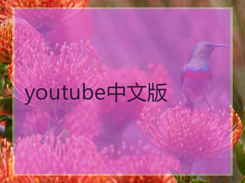 youtube中文版