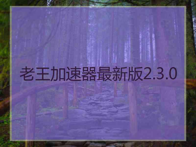 老王加速器最新版2.3.0