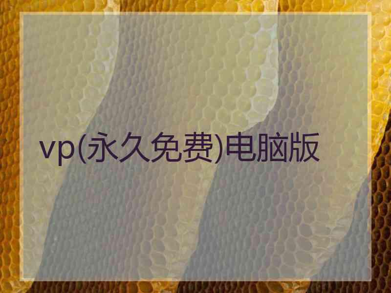 vp(永久免费)电脑版