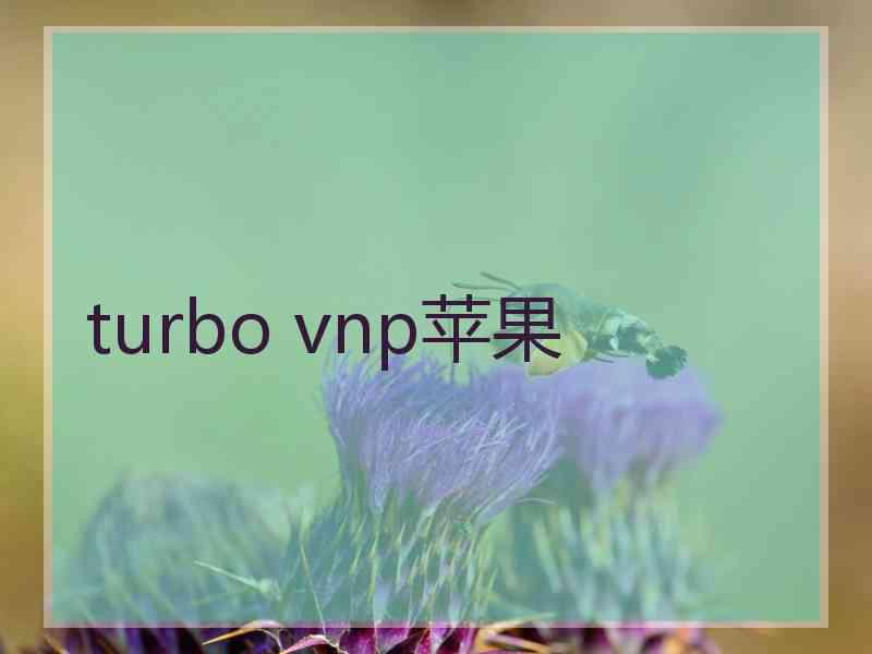 turbo vnp苹果