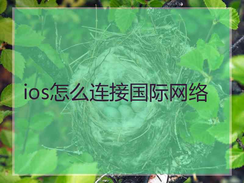 ios怎么连接国际网络