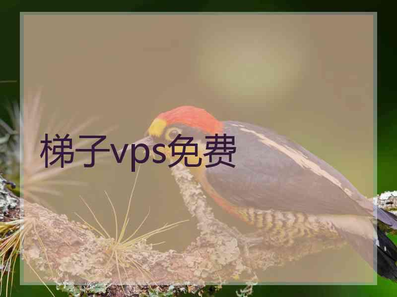 梯子vps免费